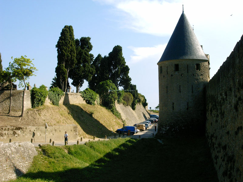 Carcassonne 40 - Baumgruppe neben der Burg