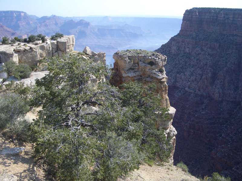 Grand Canyon 14