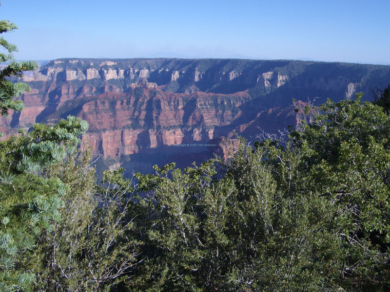 Grand Canyon 22