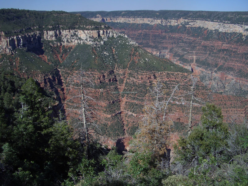 Grand Canyon 35