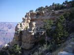 Grand Canyon 15