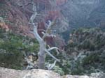 Grand Canyon 23