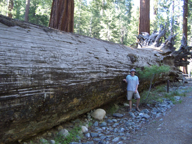 Yosemite 28
