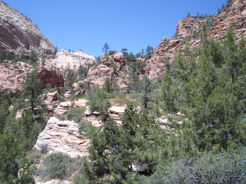 Zion Nationalpark 13