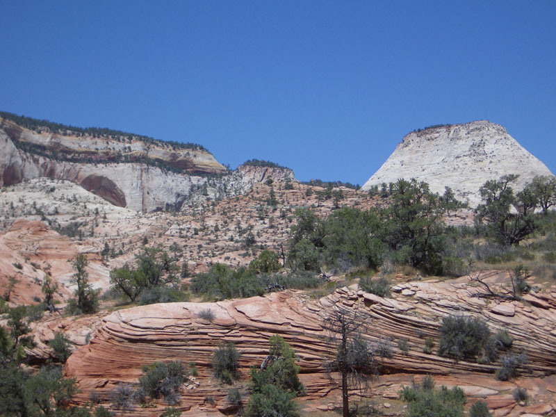 Zion Nationalpark 15