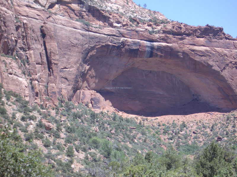 Zion Nationalpark 5