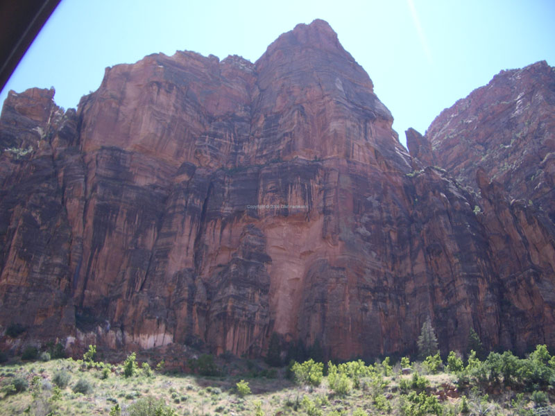 Zion Nationalpark 7