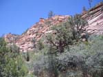 Zion Nationalpark 12