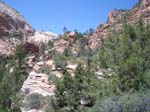 Zion Nationalpark 13