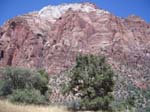 Zion Nationalpark 6